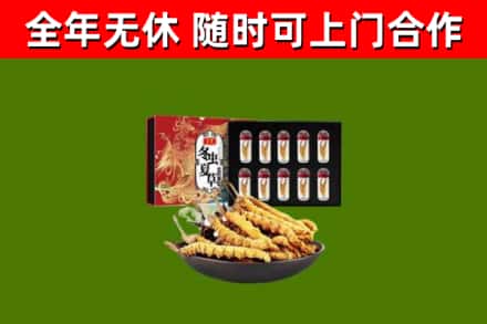 文昌市烟酒回收冬虫夏草礼盒.jpg
