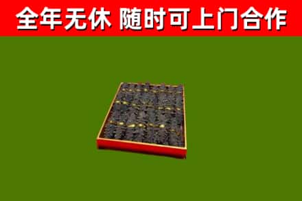 文昌市回收海参